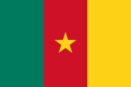Marriage registration with a citizen of Cameroon