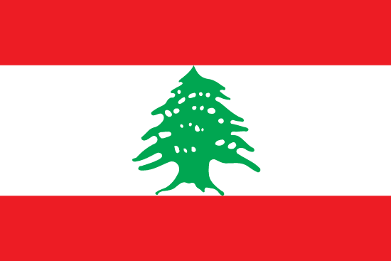 Marriage registration with a citizen of Lebanon